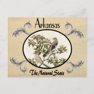 Vintage-Optik alte Postkarte Arkansas Staat