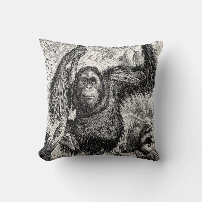 Vintage Orang-Utan Illustration - Affe 1800's Kissen (Vorderseite)