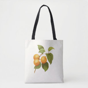 Vintage Orange Apricots Aquarell Zeichnend Tasche