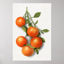 Vintage Orange Aquarelldarstellung Poster