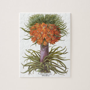 Vintage Orange Fritillaria Blumen Basilius Besler