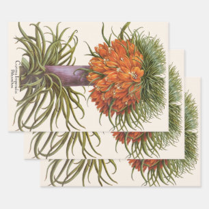 Vintage Orange Fritillaria Blumen Basilius Besler Geschenkpapier Set