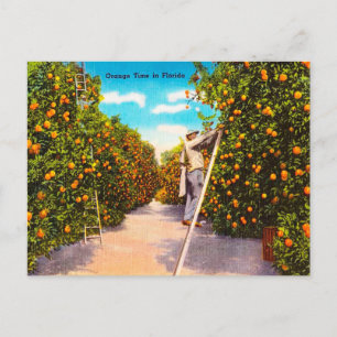 Vintage Orange Time en Floride Voyage Carte postal