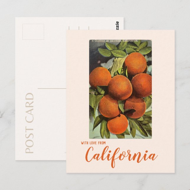 Vintage Orangen Südkalifornien Postkarte (Vorne/Hinten)