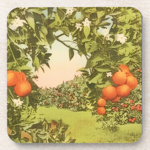 Vintage Orangenhain Getränkeuntersetzer