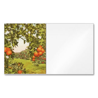 Vintage Orangenhain Magnetische Visitenkarte
