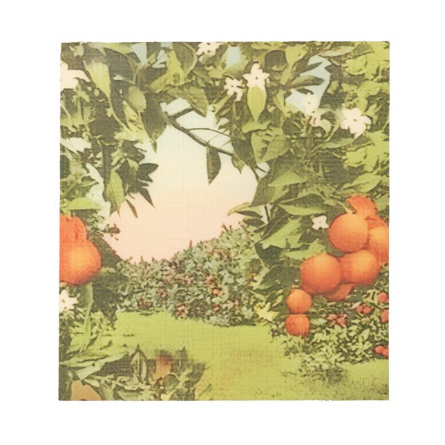 Vintage Orangenhain Notizblock (Vorderseite)