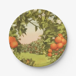 Vintage Orangenhain Pappteller