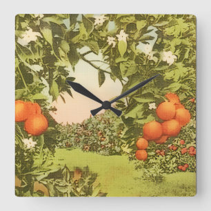 Vintage Orangenhain Quadratische Wanduhr