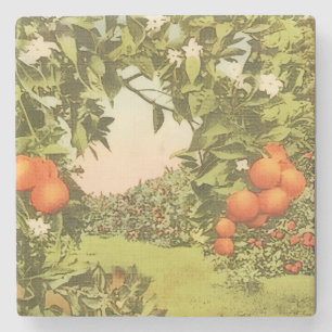 Vintage Orangenhain Steinuntersetzer