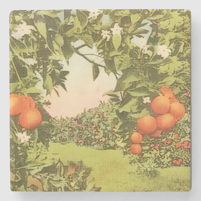 Vintage Orangenhain Steinuntersetzer (Vorderseite)