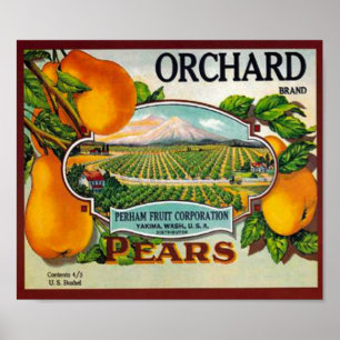 Vintage Orchard Birnen Poster