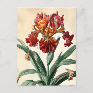Vintage Orchidee Postkarte