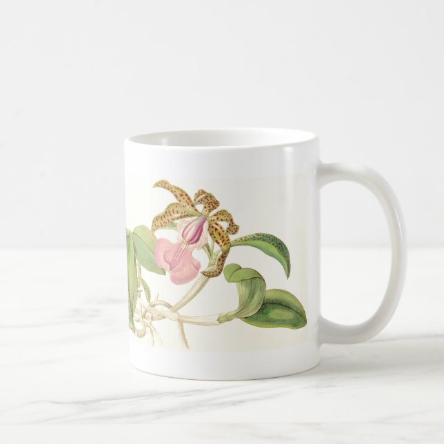 Vintage Orchideen-Blumen-Tasse Kaffeetasse (Rechts)