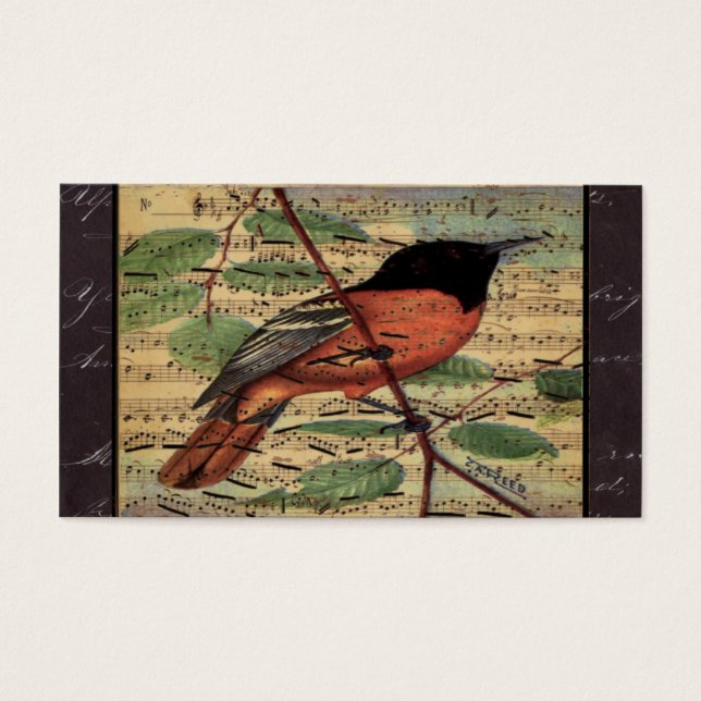 Vintage Oriole-Musik (Vorderseite)