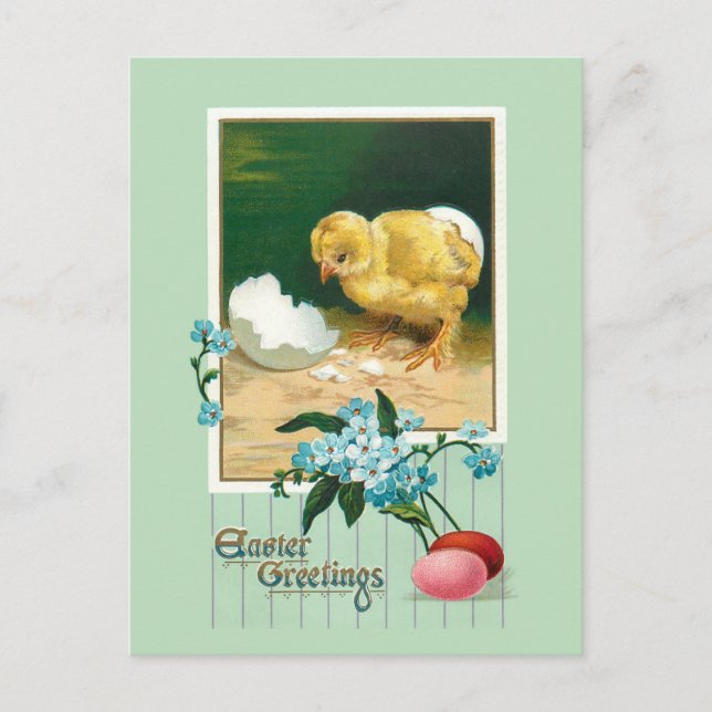 Vintage Ostereier, Küken und Blume Postkarte (Vorderseite)