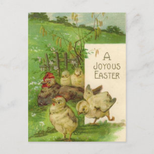 Vintage Osterferien-Küken Postkarte