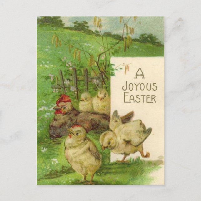 Vintage Osterferien-Küken Postkarte (Vorderseite)