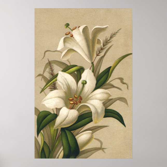 Vintage Osterlilien, Viktorianische Blume im Blut Poster (Vorne)