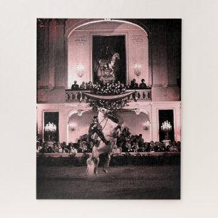 Vintage Österreich Wien Spanische Courbette