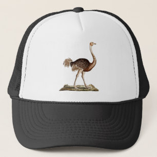Vintage Ostrich-Illustration Retro 1700s Ostriches Truckerkappe