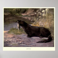 Vintage Otter-Malerei (1909)