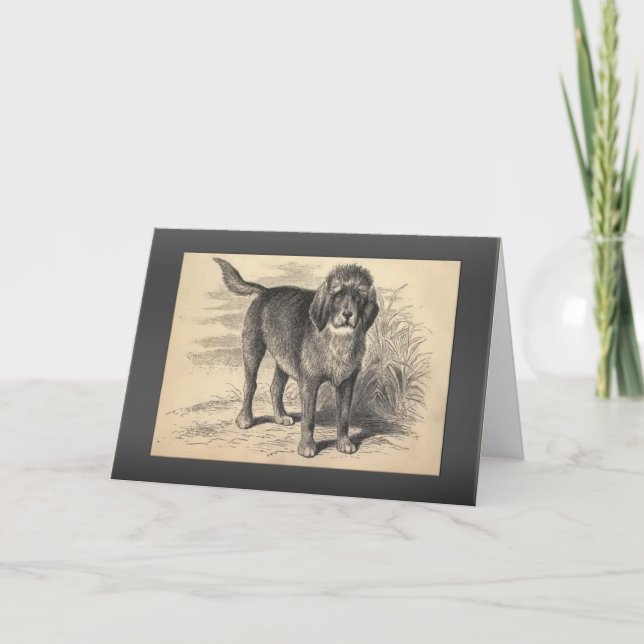 Vintage Otterhound-Grüße Karte (Vorderseite)