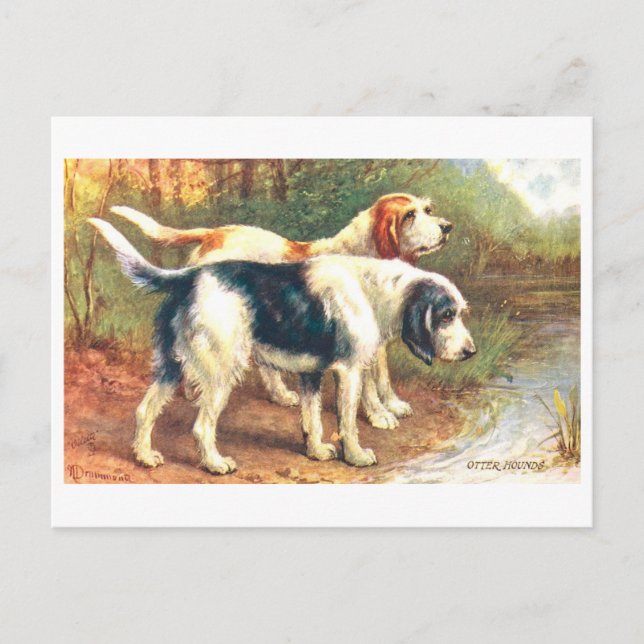Vintage Otterhunde Postkarte (Vorderseite)