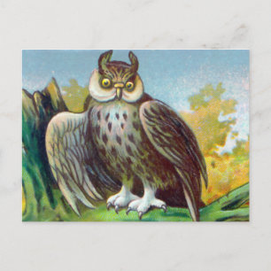 Vintage Owl Postkarte