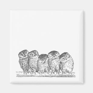 Vintage Owls Magnet