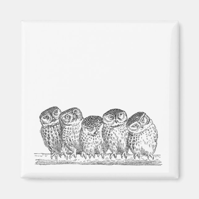 Vintage Owls Magnet (Vorne)