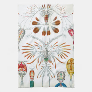 Vintage-Ozean-Tiere, Copepoda von Ernst Haeckel Geschirrtuch