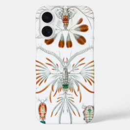 Vintage Ozeantiere, Copepoda von Ernst Haeckel title_seo2