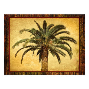 Vintage Palm Tree - angepasste tropische Vorlage Fotodruck