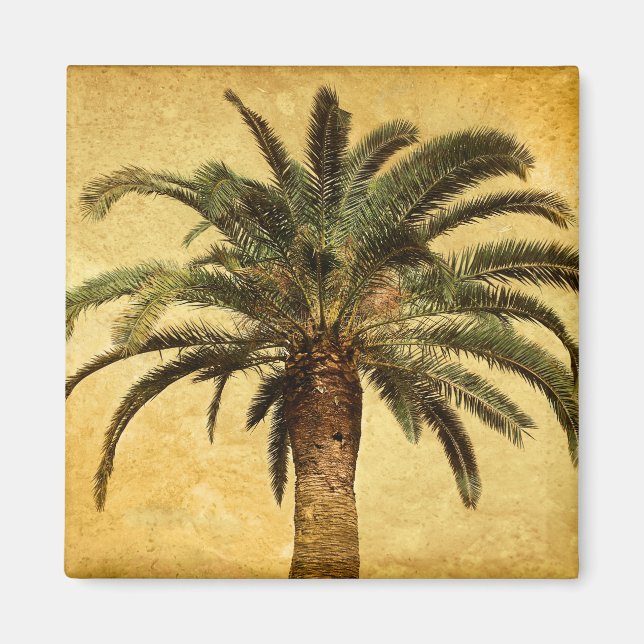 Vintage Palm Tree - angepasste tropische Vorlage Magnet (Vorne)