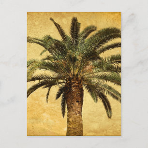 Vintage Palm Tree - angepasste tropische Vorlage Postkarte