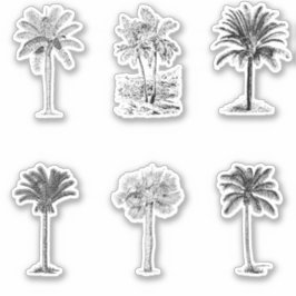 Vintage Palmbaumskizzen Aufkleber