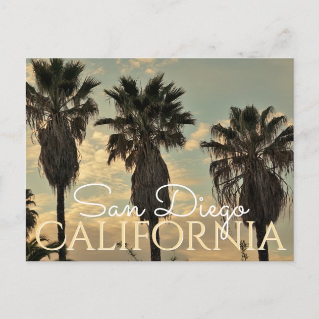 Vintage Palmen Bäume San Diego Postkarte (Vorderseite)