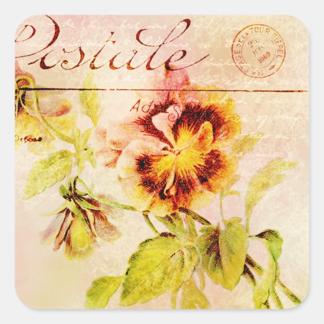 Vintage Pansy Blume Postkarte Quadratischer Aufkleber (Vorderseite)