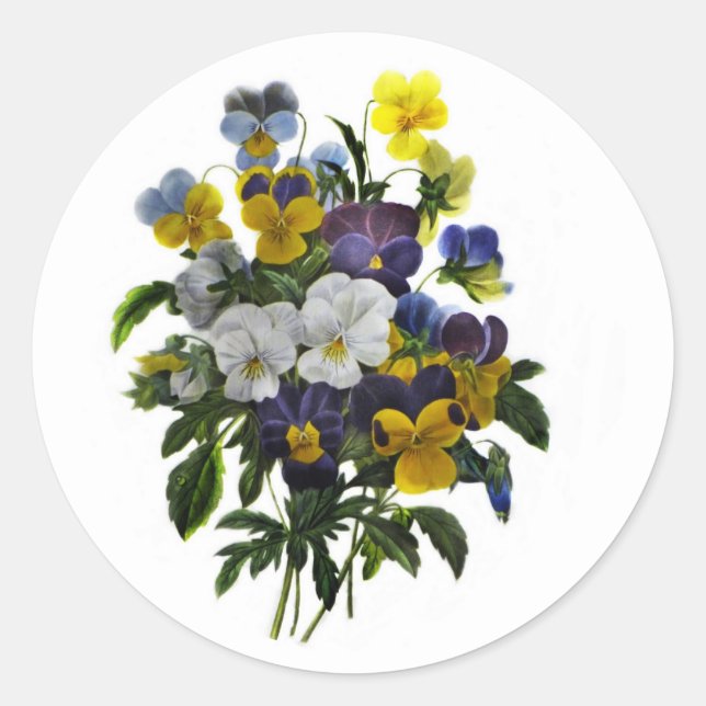 Vintage Pansy Botanische Schrift Runder Aufkleber (Vorderseite)