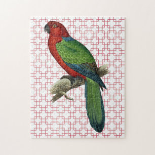 Vintage-Papagei auf Retro-Kunst