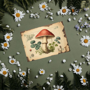 Vintage Papiertücher für Pilze Seidenpapier
