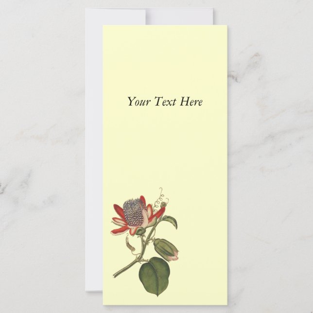 Vintage Passion-Blume (Vorderseite)