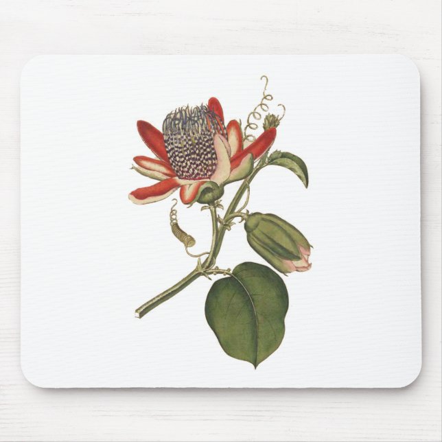Vintage Passion-Blume Mousepad (Vorne)