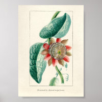 Vintage Passion-Blume