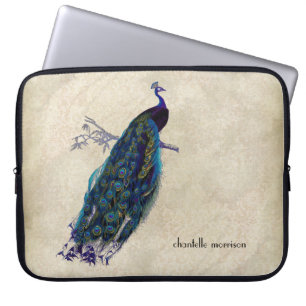 Vintage Peacock Full Feathers on Tattered Lace Laptopschutzhülle