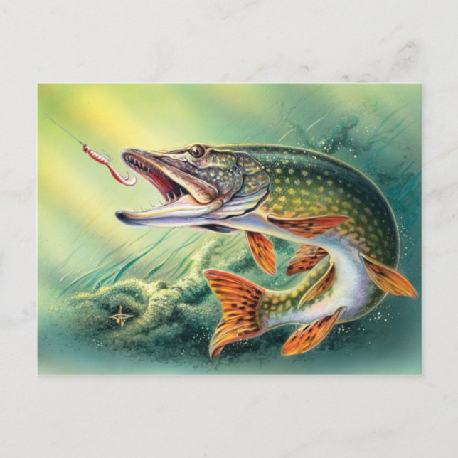 Vintage Pêche mignon poisson carte postale (Devant)