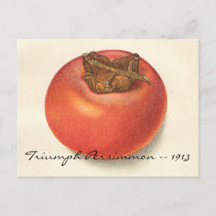 Vintage Persimmon Postkarte