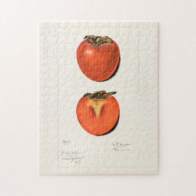 Vintage Persimmons Fruchtsaftfarbe (Vertikal)