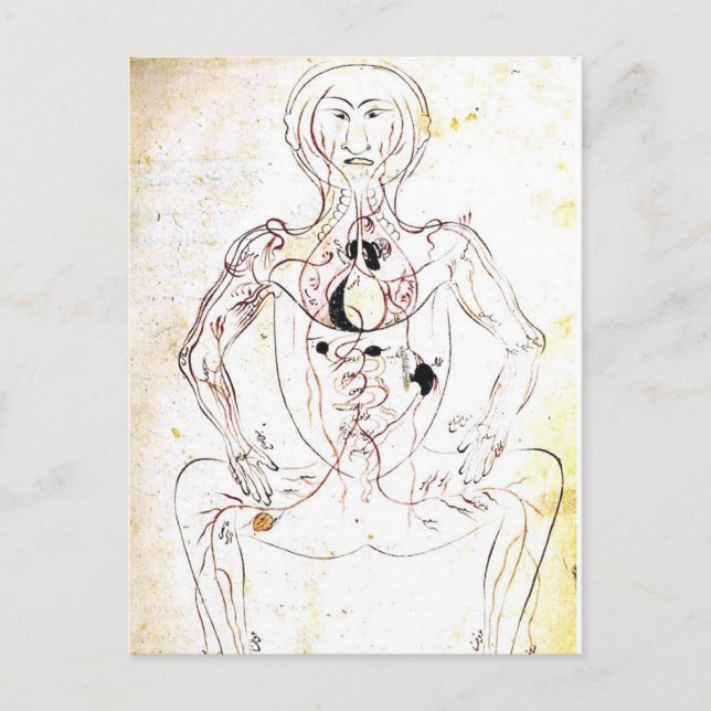 Vintage persische medizinische vordere Anatomie Postkarte (Vorderseite)